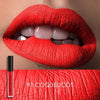 FOCALLURE Matte Sexy Liquid Lip Gloss Matte Lipsick Long Lasting Waterproof Cosmetic Beauty Makeup Keep 24 Hours Lipgloss