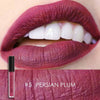 FOCALLURE Matte Sexy Liquid Lip Gloss Matte Lipsick Long Lasting Waterproof Cosmetic Beauty Makeup Keep 24 Hours Lipgloss