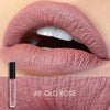 FOCALLURE Matte Sexy Liquid Lip Gloss Matte Lipsick Long Lasting Waterproof Cosmetic Beauty Makeup Keep 24 Hours Lipgloss