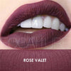 FOCALLURE Matte Sexy Liquid Lip Gloss Matte Lipsick Long Lasting Waterproof Cosmetic Beauty Makeup Keep 24 Hours Lipgloss